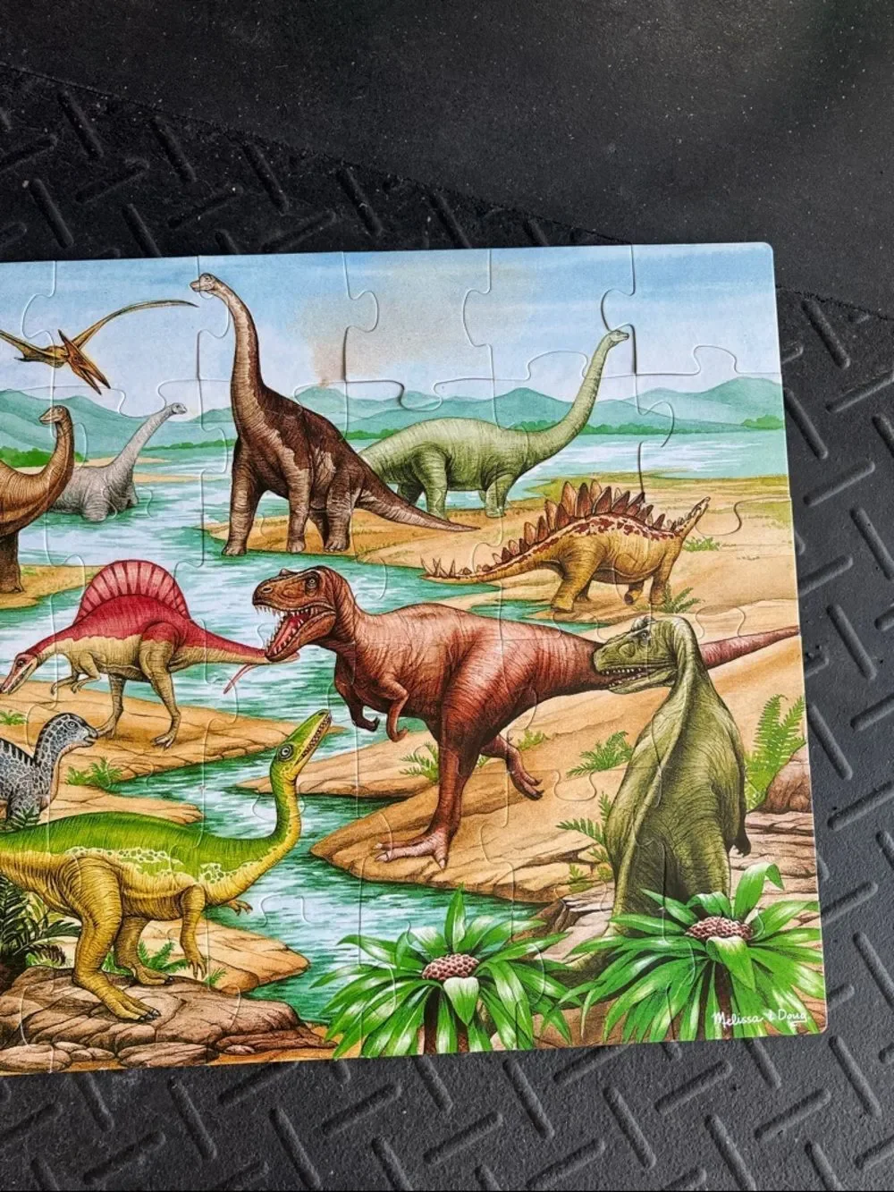 Bundle of 4 Floor Puzzles